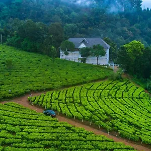 Tea Harvester Курортный комплекс Муннар